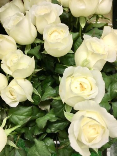 花屋が教えるホワイトデーお返しにおすすめのお花や意味 花言葉は